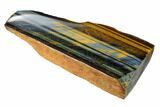 Polished Tiger's Eye Section - South Africa #148259-2